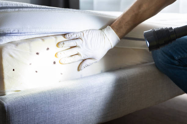 Best Exterminator Services  in Altamont, OR