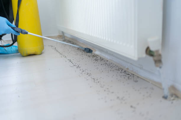 Best Affordable Pest Control Services  in Altamont, OR