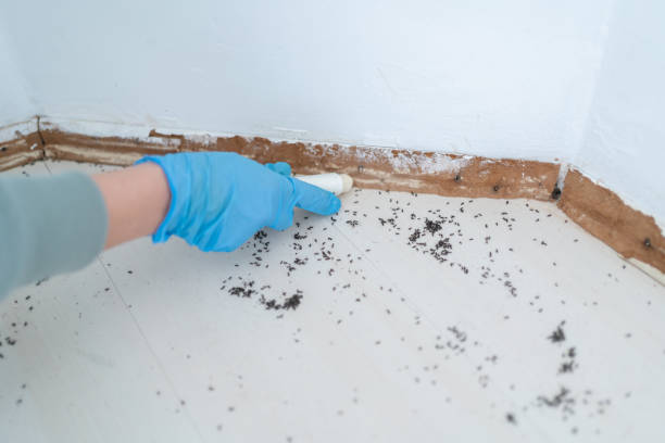 Pest Control Cost in Altamont, OR