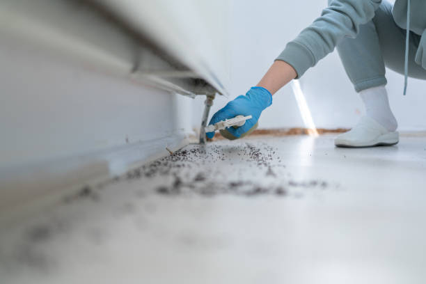Best Best Pest Control Companies  in Altamont, OR