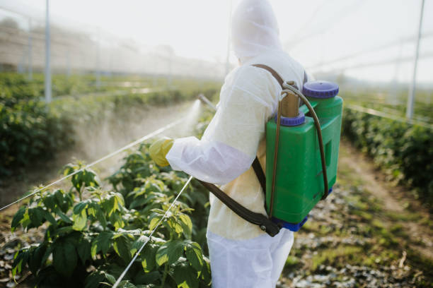 Trusted Altamont, OR Pest Control Experts